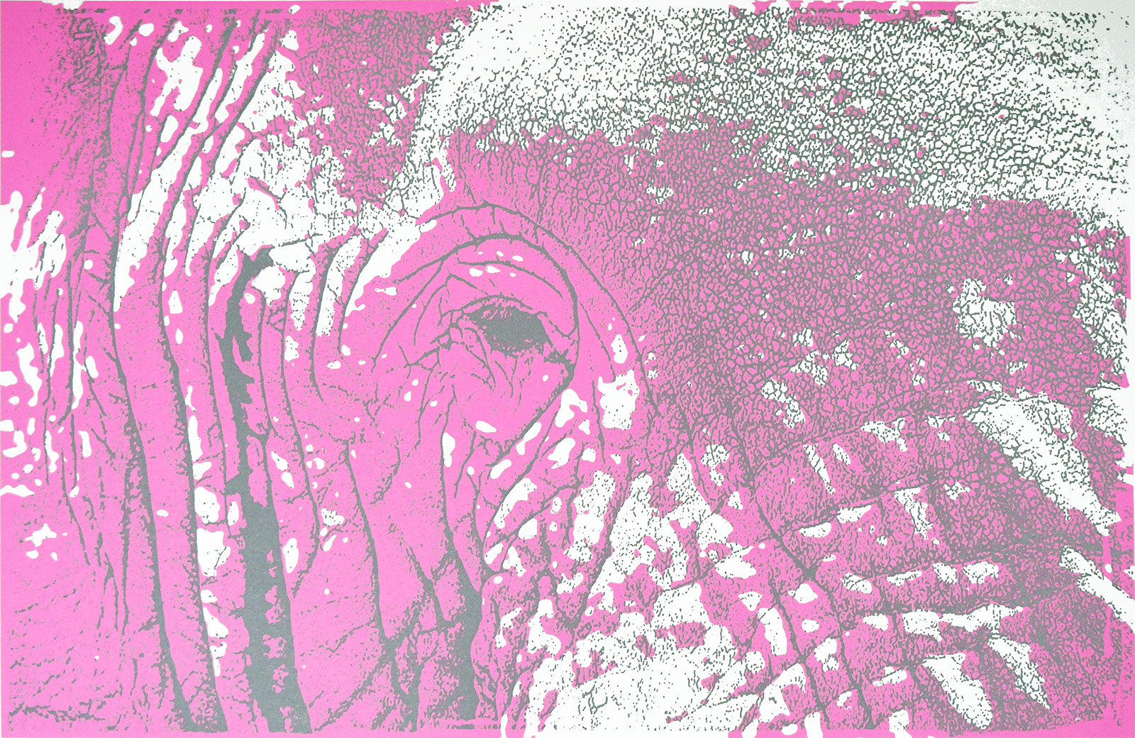 'Jeg ser ene rosa elefant!'